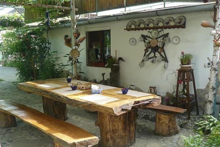 Pensiune Casa Costea