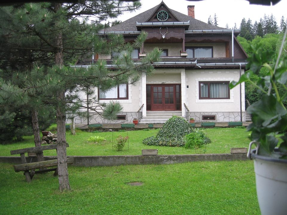 Pensiune Casa Dintre Pini